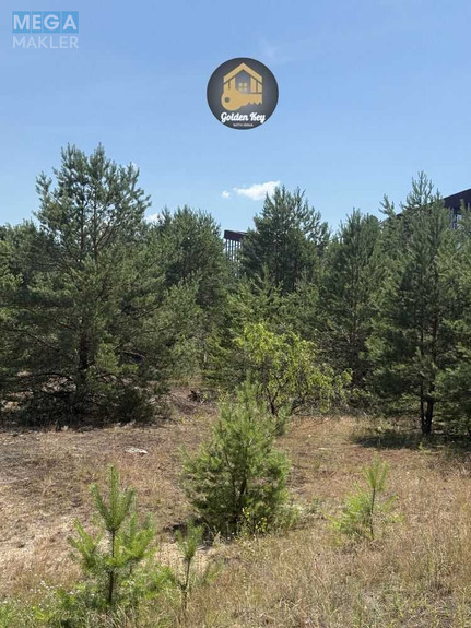 Продажа участка, 65 соток, земля сельскохозяйственного назначения, <a class="location-link" href="/hotyanovka/" title="Недвижимость Хотянівка">Хотянівка</a>, Вишгородська Брама (изображение 2)