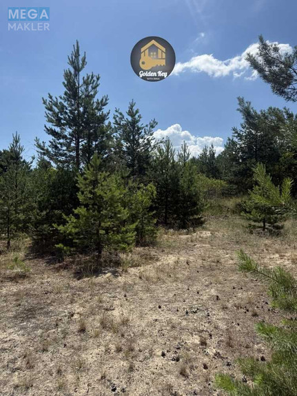 Продажа участка, 65 соток, земля сельскохозяйственного назначения, <a class="location-link" href="/hotyanovka/" title="Недвижимость Хотянівка">Хотянівка</a>, Вишгородська Брама (изображение 22)