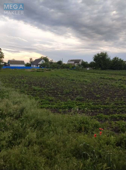 Продажа участка, 20 соток, участок под жилую застройку, <a class="location-link" href="/olshanica-selo-kv/" title="Недвижимость Ольшаниця">Ольшаниця</a>, шевченко (изображение 2)