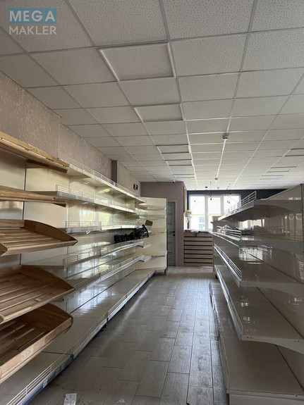 Продаж комерційної нерухомості, 78 кв.м, под магазин, <a class="location-link" href="/kiev/" title="Недвижимость Київ">Київ</a>, <a class="location-link" href="/kiev/pecherskij/" title="Недвижимость Печерський район">Печерський р-н</a>, Бастіонний пров., 15 (изображение 5)
