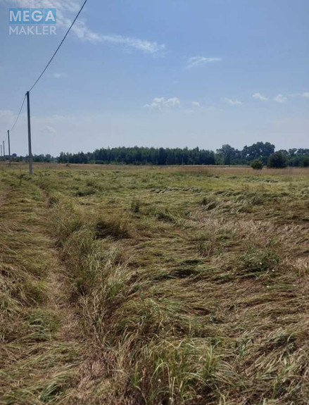 Продажа участка, 10 соток, участок под жилую застройку, <a class="location-link" href="/yasnogorodka/" title="Недвижимость Ясногородка">Ясногородка</a>, Польова (изображение 2)