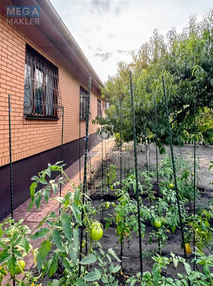 Продаж дома, 1 поверх, 136,70 кв.м, 4 кімнати, ділянка 24 сотки, <a class="location-link" href="/procov/" title="Недвижимость Проців">Проців</a>, Богдана Хмельницького пров., 1 (изображение 3)