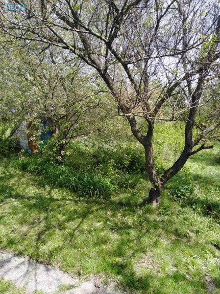 Продаж дома, 1 поверх, 73 кв.м, 3 кімнати, ділянка 25 соток, <a class="location-link" href="/severinovka-selo-kv/" title="Недвижимость Северинівка">Северинівка</a>, миру, 5 (изображение 7)