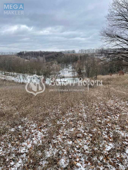Продажа участка, 80 соток, участок под жилую застройку, <a class="location-link" href="/derevyanaya/" title="Недвижимость Дерев'яна">Дерев`яна</a>, Глинищанська вул. (изображение 4)