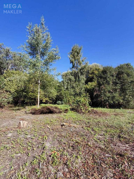 Продажа участка, 12 соток, земля сельскохозяйственного назначения, <a class="location-link" href="/garazdzha/" title="Недвижимость Гаразджа">Гаразджа</a>, Кінцева (изображение 2)