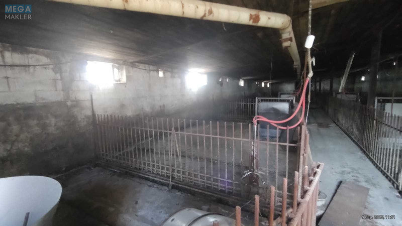 Продаж окремої будівлі/побудови, 600&nbsp;кв.м, <a class="location-link" href="/litki-selo-kv/" title="Недвижимость Літки">Літки</a>, Київська (изображение 19)
