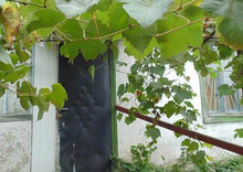 Продаж дома, 1  поверх, 54 кв.м, 3 кімнати, потребує капітального ремонту, ділянка 10 соток