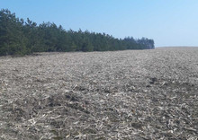 Продажа участка, 200 соток, земля сельскохозяйственного назначения