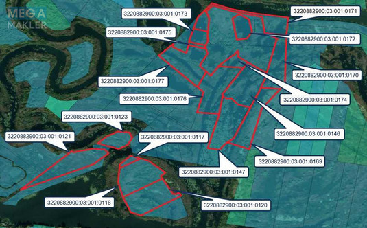 Продажа участка, 200&nbsp;соток, земля сельскохозяйственного назначения, <a class="location-link" href="/golovurov/" title="Недвижимость Головурів">Головурів</a>, Головурівська с/р (изображение 1)