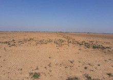 Продажа участка, 200 соток, земля сельскохозяйственного назначения