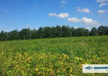 Продажа участка, 200 соток, участок под жилую застройку