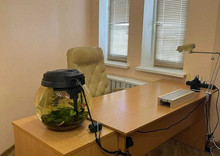 Оренда комерційної нерухомості, 80&nbsp;кв.м, под офис