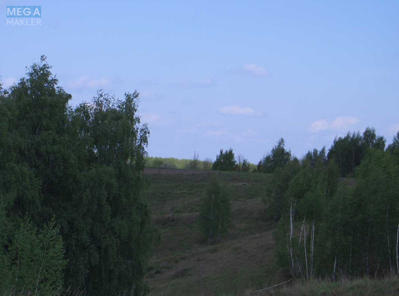 Продажа участка, 9 соток, участок под жилую застройку, <a class="location-link" href="/vasilkov/" title="Недвижимость Васильків">Васильків</a>, Ярослава Мудрого 70 (изображение 1)