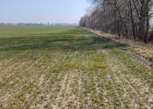 Продажа участка, 169 соток, земля сельскохозяйственного назначения