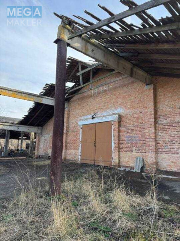 Продаж окремої будівлі/побудови, 5&nbsp;687,20&nbsp;кв.м, <a class="location-link" href="/podlesnovka/" title="Недвижимость Підліснівка">Підліснівка</a>, с. Олександрівка вул. Некрасова, 31 (изображение 1)