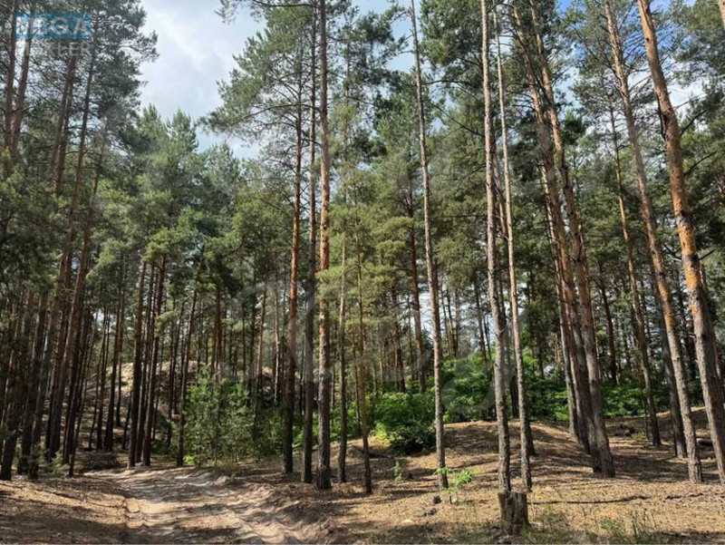 Продажа участка, 27 соток, участок под жилую застройку, <a class="location-link" href="/procov/" title="Недвижимость Проців">Проців</a>, Хутірська (изображение 1)
