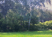 Продажа участка, 65 соток