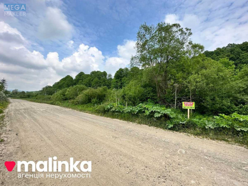 Продажа участка, 30 соток, земля сельскохозяйственного назначения, <a class="location-link" href="/verhnee-sinevidnoe/" title="Недвижимость Верхнє Синьовидне">Верхнє Синьовидне</a>, За Рікою (изображение 1)