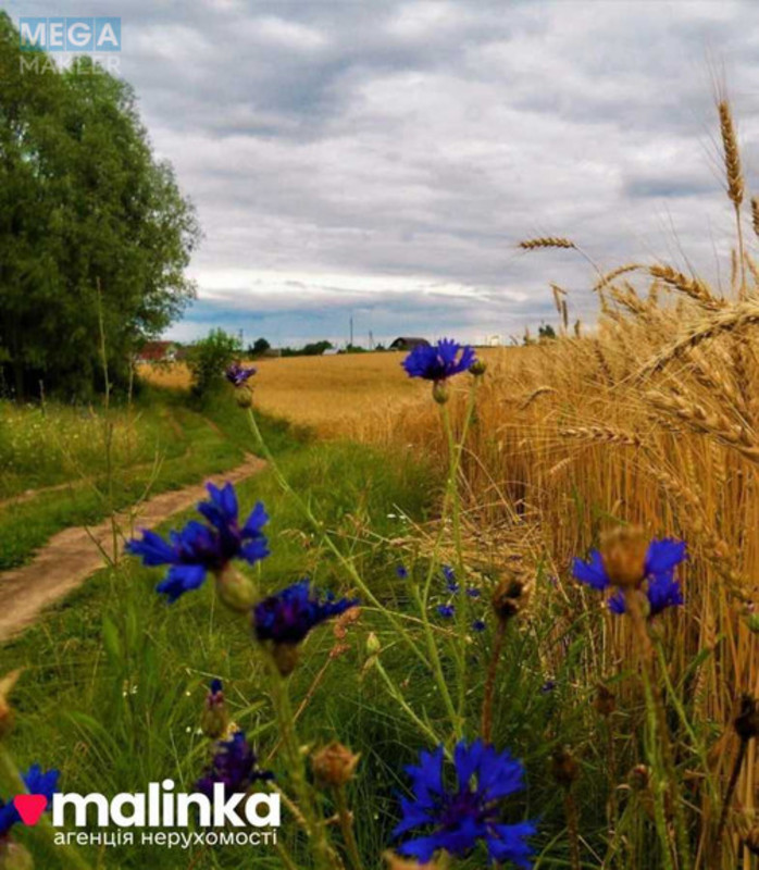 Продажа участка, 23,60&nbsp;сотки, земля сельскохозяйственного назначения, <a class="location-link" href="/dovzhki-selo/" title="Недвижимость Довжки">Довжки</a>, Львівська (изображение 1)