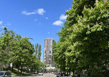 Продаж 1 кімнатної квартири (52/?/18), 11 пов. 19 пов. будинку