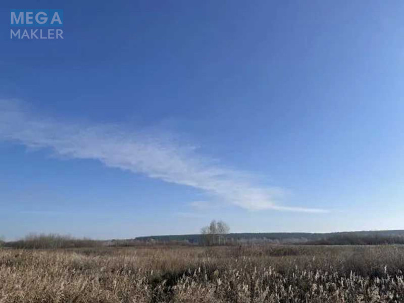Продажа участка, 32,55 сотки, земля сельскохозяйственного назначения, <a class="location-link" href="/puhovka/" title="Недвижимость Пухівка">Пухівка</a>, Нова (изображение 1)