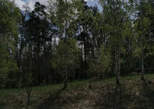 Продаж дома, 1  поверх, 52 кв.м, 2 кімнати, ділянка 30 соток