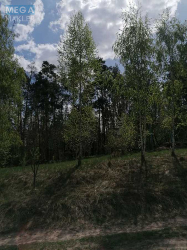 Продаж дома, 1 поверх, 52 кв.м, 2 кімнати, ділянка 30 соток, <a class="location-link" href="/chernin-selo/" title="Недвижимость Чернін">Чернин</a>, Попівка (изображение 1)