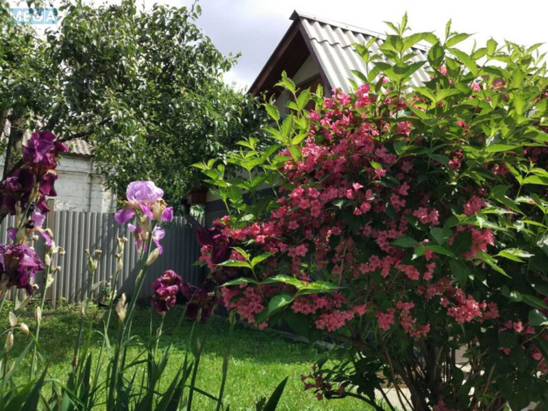 Продажа участка, 8 соток, участок под жилую застройку, <a class="location-link" href="/kiev/" title="Недвижимость Київ">Київ</a>, <a class="location-link" href="/kiev/pecherskij/" title="Недвижимость Печерський район">Печерський р-н</a>, Зверинецкая ул. (изображение 1)