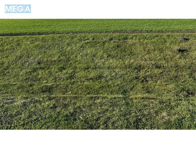Продажа участка, 200 соток, земля сельскохозяйственного назначения, <a class="location-link" href="/loshkarovka/" title="Недвижимость Лошкарівка">Лошкарівка</a>, нова (изображение 1)