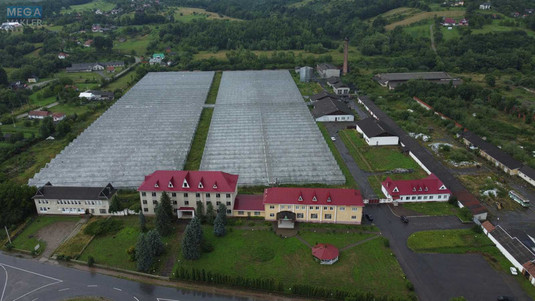 Продаж комплексу будівель та споруд, 3&nbsp;600&nbsp;кв.м, под производство, <a class="location-link" href="/stopchatov/" title="Недвижимость Стопчатів">Стопчатів</a>, Центральна, 1 (изображение 1)
