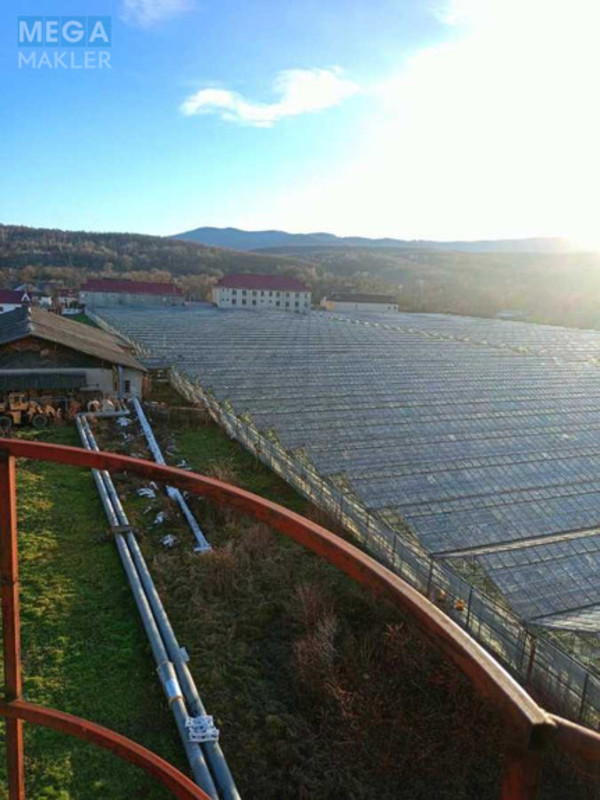 Продаж комплексу будівель та споруд, 3 600 кв.м, под производство, <a class="location-link" href="/stopchatov/" title="Недвижимость Стопчатів">Стопчатів</a>, Центральна, 1 (изображение 1)