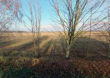 Продажа участка, 25&nbsp;соток, участок под жилую застройку