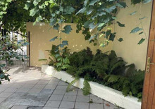 Оренда дома