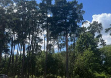 Продажа участка, 10 соток, участок под жилую застройку