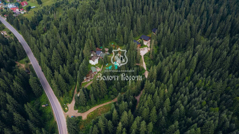 Продажа участка, 100&nbsp;соток, земля коммерческого назначения, <a class="location-link" href="/yablonica/" title="Недвижимость Яблуниця">Яблуниця</a>, Горішків (изображение 1)