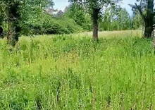 Продаж дома, 1  поверх, 31 кв.м, 3 кімнати, ділянка 35 соток