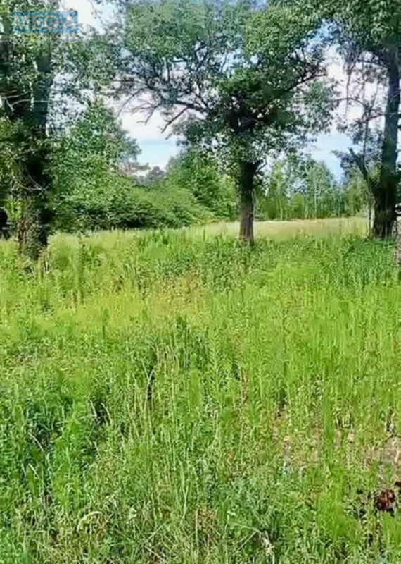 Продаж дома, 1 поверх, 31 кв.м, 3 кімнати, ділянка 35 соток, <a class="location-link" href="/zhukin/" title="Недвижимость Жукін">Жукин</a>, Коцюбинського, 5 (изображение 1)