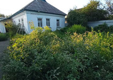 Продаж дома, 1&nbsp; поверх, 87&nbsp;кв.м, 4&nbsp;кімнати, ділянка 10&nbsp;соток