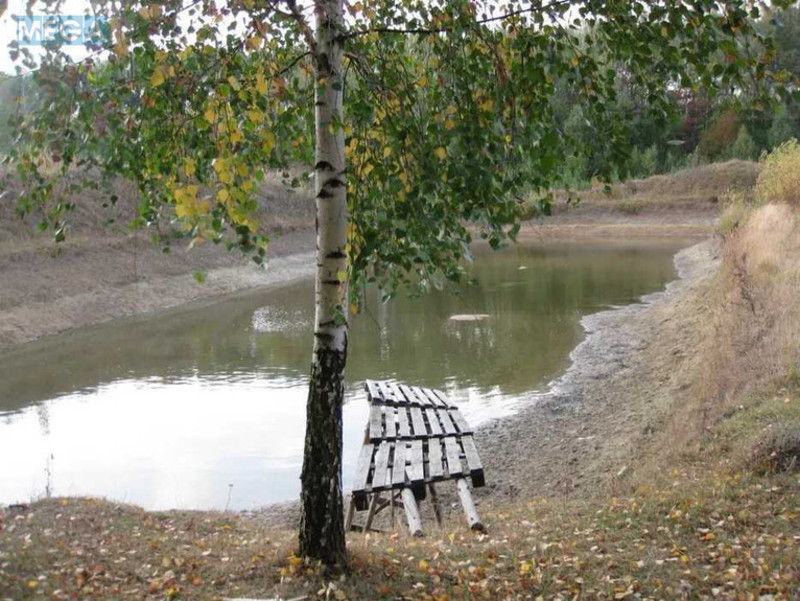 Продажа участка, 1 739 соток, земля сельскохозяйственного назначения, <a class="location-link" href="/kocherov/" title="Недвижимость Кочерів">Кочерів</a>, Київська (изображение 1)