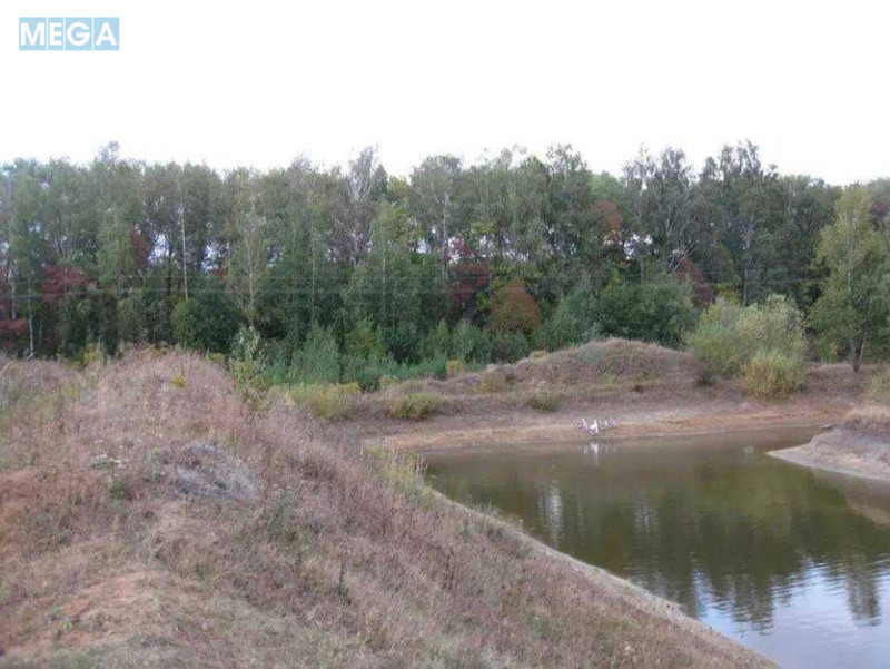 Продажа участка, 1 739 соток, земля сельскохозяйственного назначения, <a class="location-link" href="/kocherov/" title="Недвижимость Кочерів">Кочерів</a>, Київська (изображение 1)
