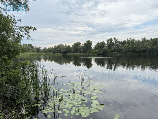 Продажа участка, 2&nbsp;012&nbsp;соток, <a class="location-link" href="/carichanka/" title="Недвижимость Царичанка">Царичанка</a> (изображение 1)