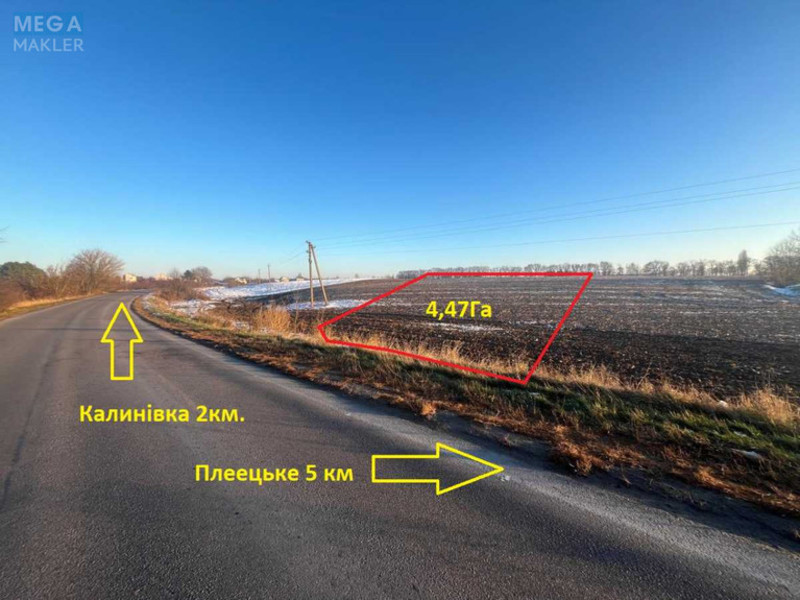 Продажа участка, 447&nbsp;соток, земля сельскохозяйственного назначения, <a class="location-link" href="/danilovka-selo-kv/" title="Недвижимость Данилівка">Данилівка</a>, Центральна (изображение 1)