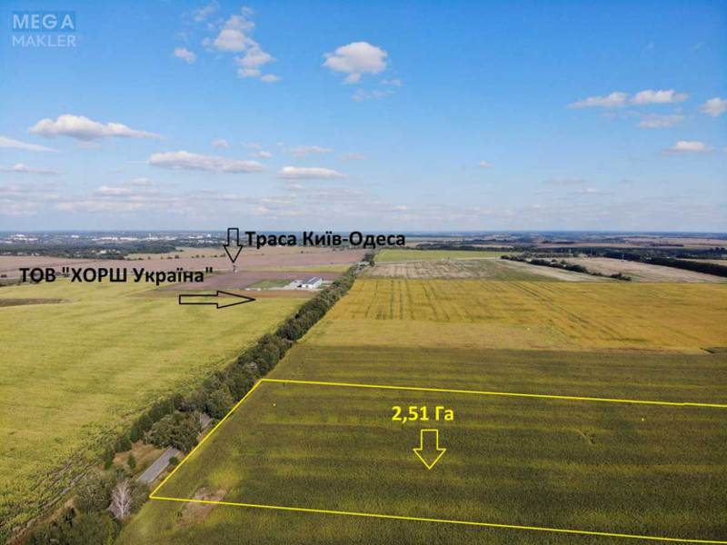 Продажа участка, 251&nbsp;сотка, земля сельскохозяйственного назначения, <a class="location-link" href="/velikaya-soltanovka/" title="Недвижимость Велика Солтанівка">Велика Солтанівка</a>, Центральна (изображение 1)