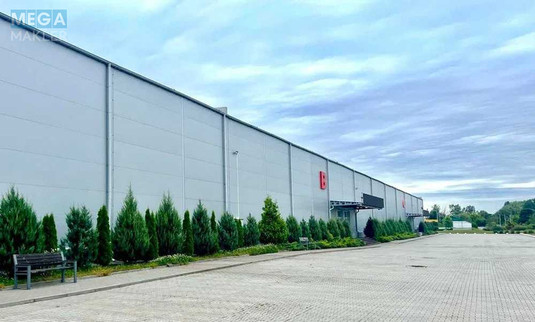 Оренда комерційної нерухомості, 9&nbsp;150&nbsp;кв.м, под склад, <a class="location-link" href="/berezovka-selo-kv/" title="Недвижимость Березівка">Березівка</a>, київська, 1 (изображение 1)