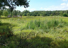 Продажа участка, 800 соток, земля сельскохозяйственного назначения