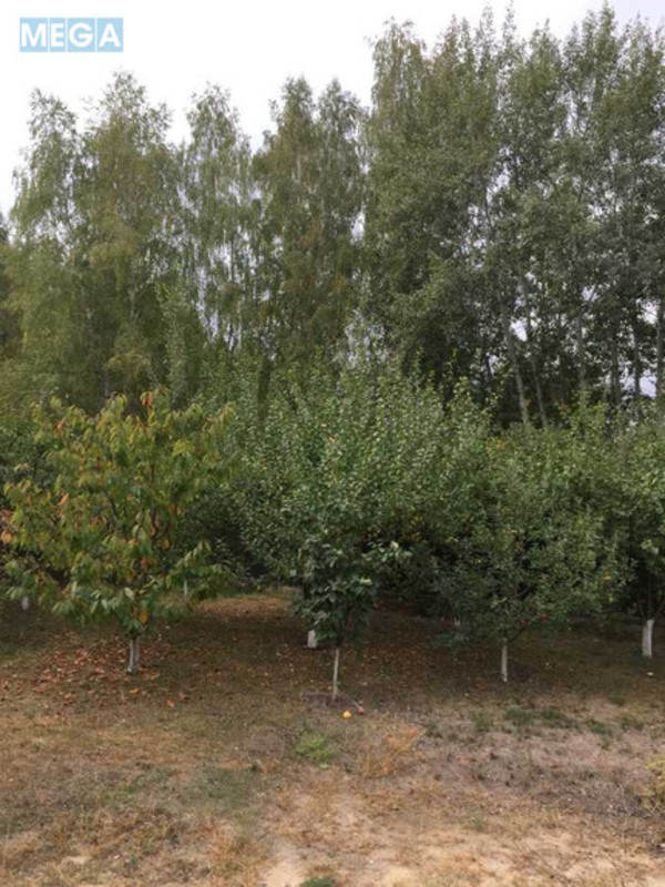 Продажа участка, 50&nbsp;соток, участок под жилую застройку, <a class="location-link" href="/vasilkov/" title="Недвижимость Васильків">Васильків</a>, Полевая (изображение 1)