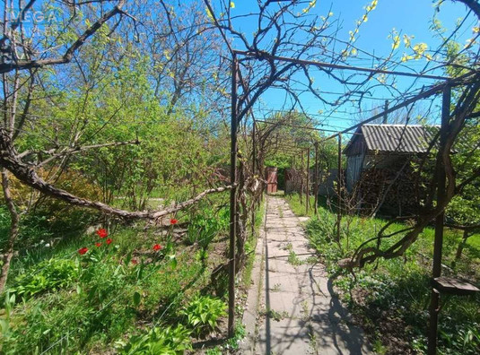 Продажа участка, 31&nbsp;сотка, участок под жилую застройку, <a class="location-link" href="/hlepcha/" title="Недвижимость Хлепча">Хлепча</a>, Касіора (изображение 1)