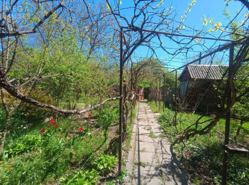 Продажа участка, 31 сотка, участок под жилую застройку, <a class="location-link" href="/hlepcha/" title="Недвижимость Хлепча">Хлепча</a>, Касіора (изображение 1)