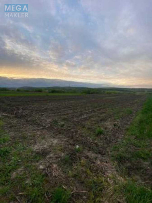 Продажа участка, 19 соток, земля сельскохозяйственного назначения, <a class="location-link" href="/velikie-gribovichi/" title="Недвижимость Великі Грибовичі">Великі Грибовичі</a>, Малі Грибовичі (изображение 1)