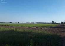 Продажа участка, 377 соток, земля сельскохозяйственного назначения